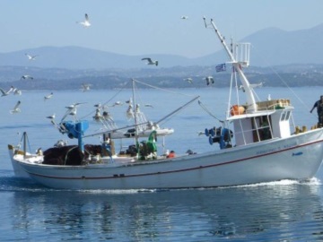 Αύξηση 14,89% στην απορρόφηση κονδυλίων του επιχειρησιακού προγράμματος Αλιείας και Θάλασσας 2014-2020 την περίοδο Ιούλιος 2019 – Οκτώβριος 2019