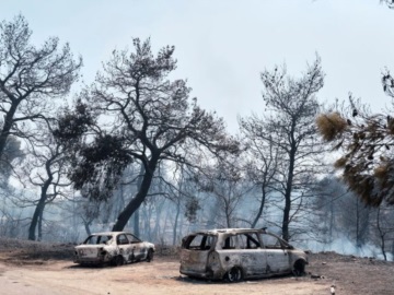 Ευρήματα εμπρησμού στη φωτιά στην Εύβοια: Εντόπισαν στουπιά, μπιτόνια, εύφλεκτο υγρό και γκαζάκια