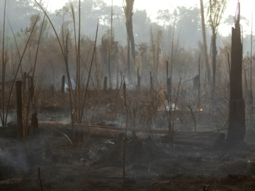 Το τροπικό δάσος του Αμαζονίου εξακολουθεί να φλέγεται, παρά την κινητοποίηση του στρατού και τις υποσχέσεις της G7