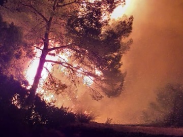 Εκδήλωση πυρκαγιάς στην περιοχή των Αγίων στην Αίγινα