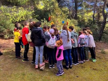 Πόρος: Παιδιά και πεζοπόροι στόλισαν δέντρο με οικολογικά στολίδια στην Καλαυρία