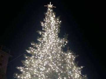 Την Τετάρτη η φωταγώγηση του χριστουγεννιάτικου δέντρου στο Πεδίο του Άρεως