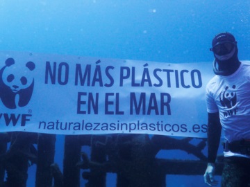 Παγκόσμια Ημέρα Ωκεανών: Τα στοιχεία-σοκ της Greenpeace και η έκκληση σωτηρίας