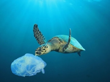 Παγκόσμια Ημέρα Κατά της Πλαστικής Σακούλας – Τα συμπεράσματα για την Ελλάδα