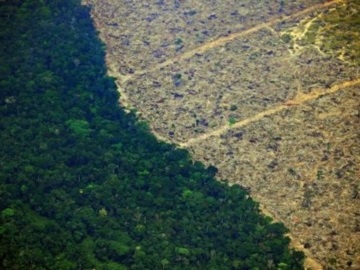 Η αποψίλωση του Αμαζονίου στο υψηλότερο επίπεδό της εδώ και 12 χρόνια