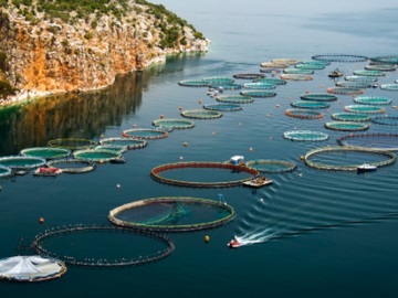Κορωνοϊός: Πρόσθετα μέτρα στήριξης σε αλιείς και υδατοκαλλιέργειες 