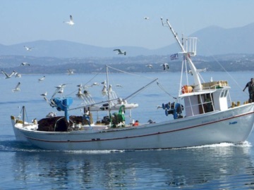 Η καραντίνα σώζει τους ελληνικούς βυθούς - Αύξηση αλιευμάτων ύστερα από 25 χρόνια