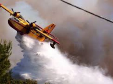 Πυρκαγιά σε δασική περιοχή στα Μέγαρα - Ένα αεροσκάφος επιχειρεί 