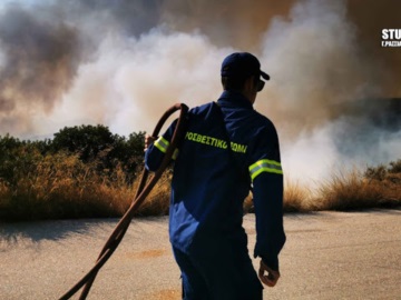 Πυρκαγιά κινητοποίησε 20 πυροσβέστες και 8 οχήματα στην Ερμιονίδα