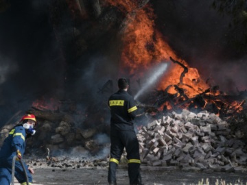 Συναγερμός για φωτιά στην Κάρυστο: Καίει δάσος -Επιχειρούν 47 πυροσβέστες 