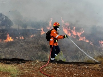 Μάχη με τις φλόγες στις Κεχριές - Εντολή εκκένωσης για οικισμούς και κατασκήνωση - 268 πυροσβέστες επιχειρούν 