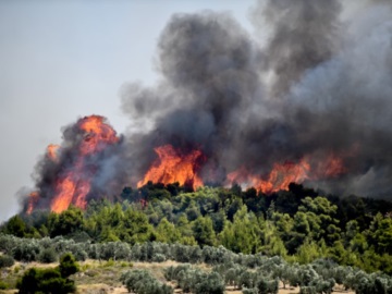 Φωτιά στις Κεχριές: Κηρύχθηκε σε κατάσταση έκτακτης ανάγκης η ανατολική Κορινθία 