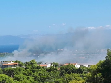 Φωτιά στην Αρτέμιδα - Μεγάλη κινητοποίηση της Πυροσβεστικής