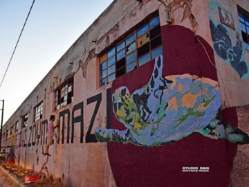 Εντυπωσιακό γκράφιτι για την προστασία του υδροβιότοπου Ναυπλίου - Ν. Κίου (βίντεο)