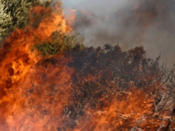 Έντονη μυρωδιά καμένου στην Αργολίδα από μεγάλη φωτιά στο Χιλιομόδι Κορινθίας