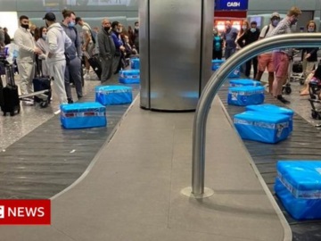 Αεροδρόμιο Χίθροου – Ταξιδιώτες από Κύπρο αντί για βαλίτσες παρέλαβαν… ψάρια