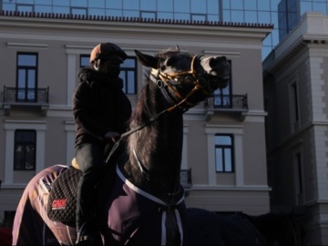 Συγκέντρωση εργαζομένων του Ιπποδρόμου με άλογα, στο κέντρο της Αθήνας