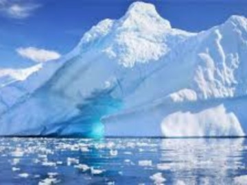 Παράξενα πλάσματα ανακαλύφθηκαν τυχαία κάτω από τους θαλάσσιους πάγους της Ανταρκτικής