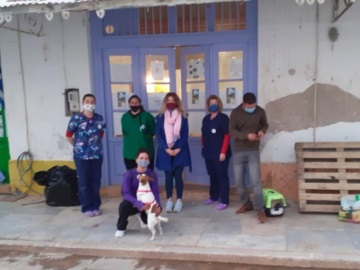 Συνεχίζεται η διεξαγωγή του προγράμματος στειρώσεων αδέσποτων γατών από τον Δήμο Ύδρας