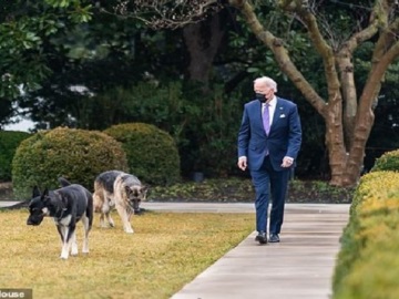 «Έδιωξαν» από τον Λευκό Οίκο τα σκυλιά του Μπάιντεν: Το ένα δάγκωσε μέλος του προσωπικού ασφαλείας