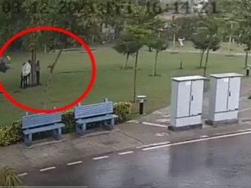 Βίντεο σοκ: Κεραυνός χτυπάει 4 άνδρες που είχαν πάει κάτω από δέντρο επειδή έβρεχε