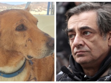 Πέθανε ο Λίο, το κακοποιημένο σκυλί από τον Πόρο που υιοθετήθηκε από τον Καφετζόπουλο - Το αντίο του γνωστού ηθοποιού 