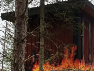 Φωτισμός σε δάσος της Σουηδίας, λες κι έχει πιάσει φωτιά 