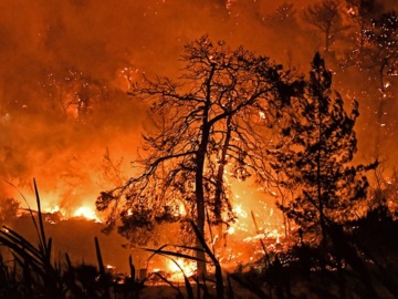 Μεγάλη φωτιά στον Σχίνο Κορινθίας: Μάχη με τις φλόγες - Εκκενώθηκαν έξι οικισμοί και δυο μοναστήρια-Προληπτική εκκένωση και στο Αλεποχώρι