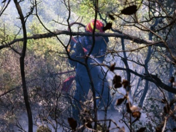 Meteo: Η πιο καταστροφική δασικής έκτασης πυρκαγιά τα τελευταία 10 χρόνια - Έκαψε στα Γεράνεια Όρη 52.000 στρέμματα δάσους