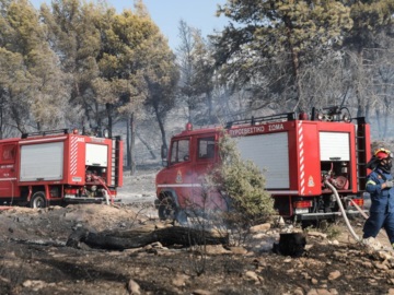Υπό μερικό έλεγχο η φωτιά στην Κερατέα - Εκκενώθηκε προληπτικά οικισμός