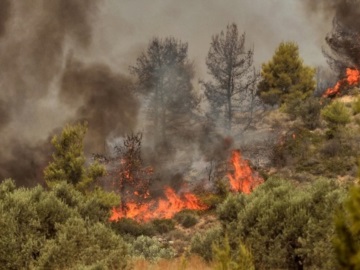 Κόρινθος: Πυρκαγιά στην περιοχή Καλαμάκι - Δεν υπάρχει άμεσος κίνδυνος για κατοικίες, σύμφωνα με την Πυροσβεστική