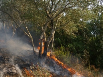 Πυρκαγιά στη Χίο - Εκκενώθηκε ο οικισμός Κατάβαση