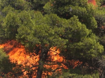Αναζωπύρωση της φωτιάς στη Βαρυμπόμπη -Νέο μήνυμα 112 για εκκένωση σε Θρακομακεδόνες και Αχαρνές 