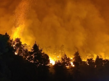 Εκκενώνονται 12 οικισμοί στην Γορτυνία - Ανεξέλεγκτη η πυρκαγιά, ενισχύονται οι δυνάμεις πυρόσβεσης
