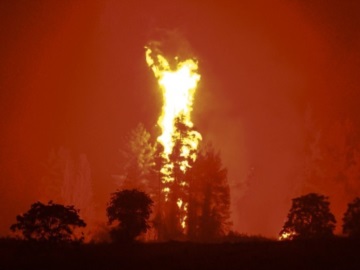 Συνεχίζεται η μάχη σε Εύβοια, Ηλεία-Αρκαδία και Λακωνία-Πυρκαγιές από κεραυνούς σε Μάνδρα και Χαλκιδική