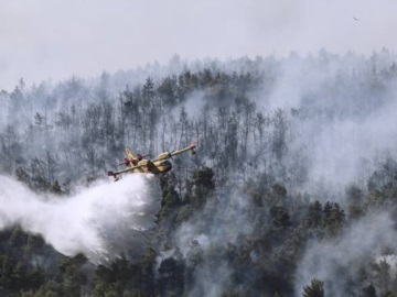 Φωτιά-Βίλια: Ενεργό το μέτωπο μέσα στο δάσος- Έχουν καεί πάνω από 80.000 στρέμματα
