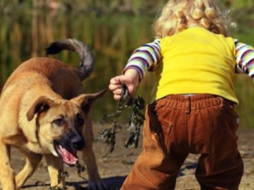 Λαμία – Σκύλος δάγκωσε παιδάκι και τη μαμά του σε παιδική χαρά