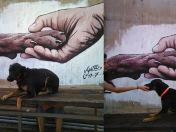 Πειραιάς:Γκράφιτι για τα αδέσποτα στο Πέραμα.