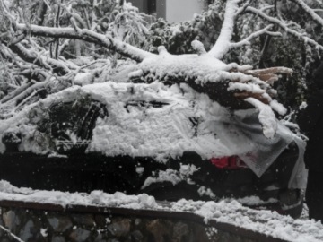 Δ. Αθηναίων: Αποζημιώσεις σε ιδιοκτήτες οχημάτων που υπέστησαν ζημιές από πτώσεις δέντρων