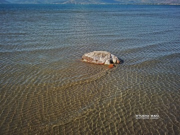 Αργολίδα: Υγρός τάφος για τις θαλάσσιες χελώνες - Επιβιώνουν πάνω από 100 εκατομμύρια χρόνια