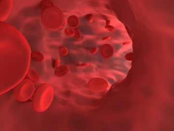 Επιστήμονες κατασκεύασαν «ζωντανά αιμοφόρα αγγεία»