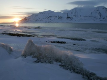 Επιστήμονες επανέφεραν «ιό ζόμπι» ηλικίας 48.500 ετών θαμμένο στους πάγους της Σιβηρίας