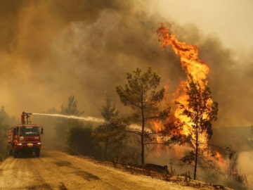  Δασικές πυρκαγιές: Επίπεδα ρεκόρ για το 2022