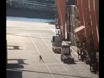 Λιμενεργάτης στον Πειραιά γλιτώνει την τελευταία στιγμή από πτώση κοντέινερ (βίντεο)