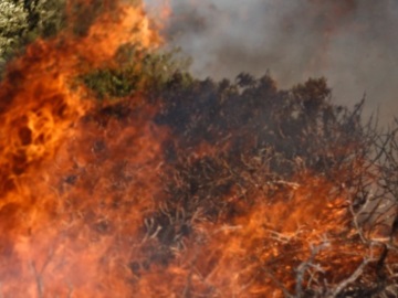 Ανεξέλεγκτη η φωτιά που καίει δασική έκταση στην περιοχή Λιβαδάκι της Ηλείας - Ενισχύονται οι πυροσβεστικές δυνάμεις