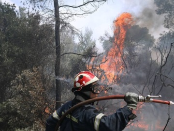 Φωτιά στη Βόρεια Εύβοια - Δύο οι εστίες της πυρκαγιάς