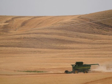 Ουκρανός πρέσβης στην Άγκυρα: Η Τουρκία αγοράζει σιτηρά που έκλεψε η Ρωσία από την Ουκρανία