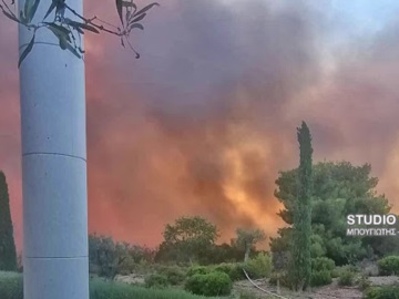 Πυρκαγιά στο Κρανίδι Αργολίδας - Με επιτυχία η εκκένωση του πολυτελούς ξενοδοχείου - Δηλώσεις του Δήμαρχου