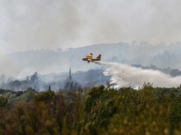 Ηλεία: Πυρκαγια σε δασική έκταση στη Ροδιά – Κινητοποιήση εναέριων μέσων