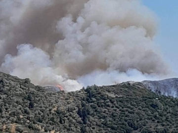 Μαίνεται η μεγάλη δασική πυρκαγιά στην περιοχή Παλαιοχώρι Μαραθόκαμπου Σάμου